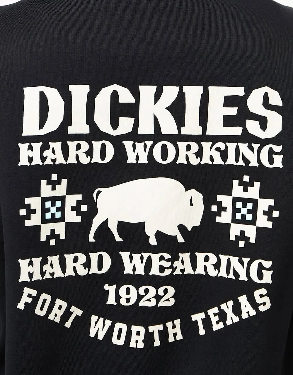 Dickies Hays Pullover Hoodie - Black